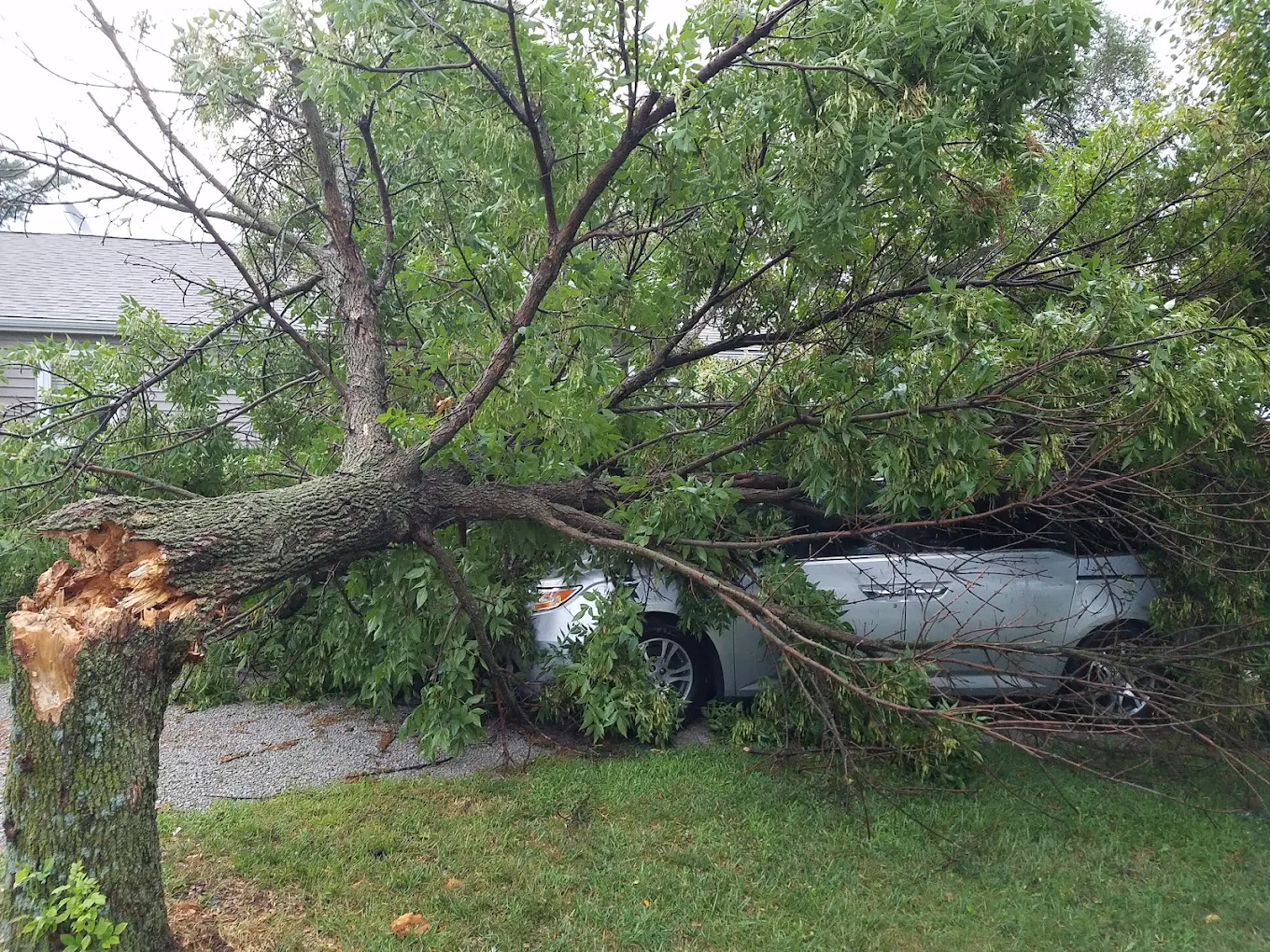 Storm cleanup